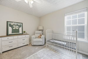  Photo 33