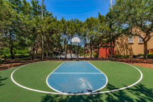 41-Basketball Court