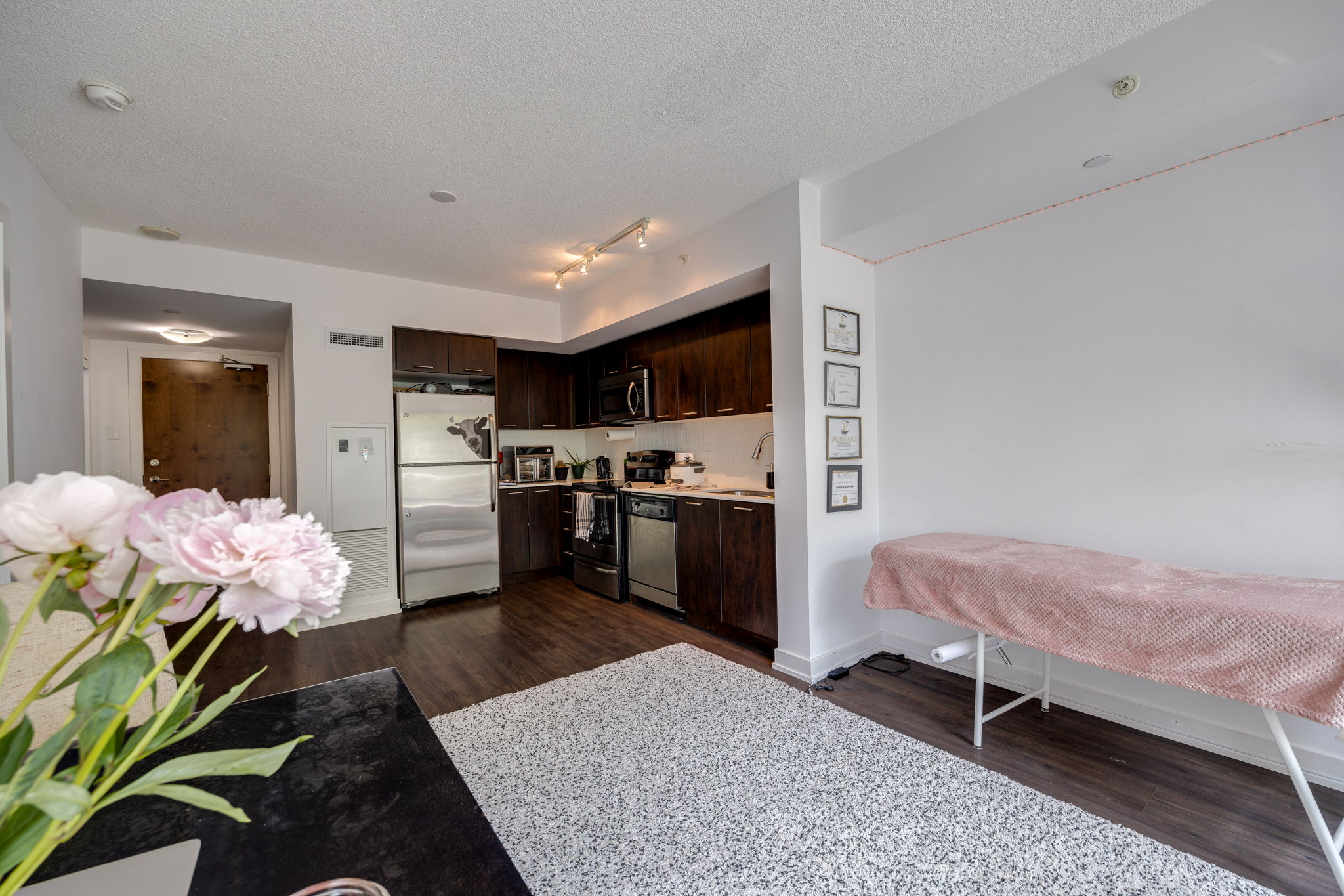 Toronto property showcase — delivered property photograph 24
