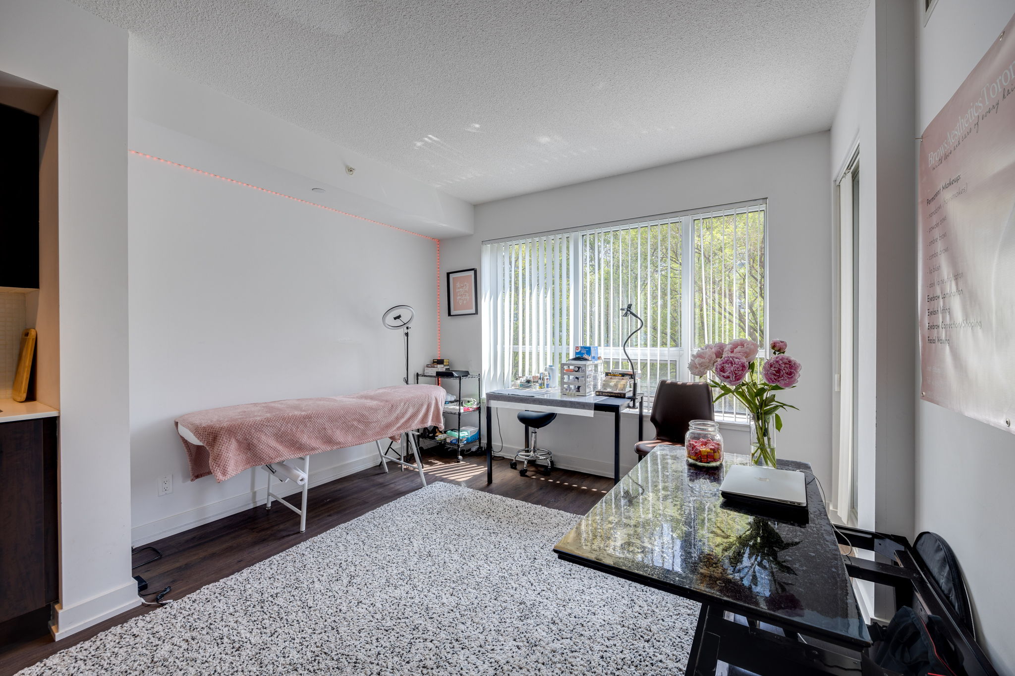 Toronto property showcase — delivered property photograph 23