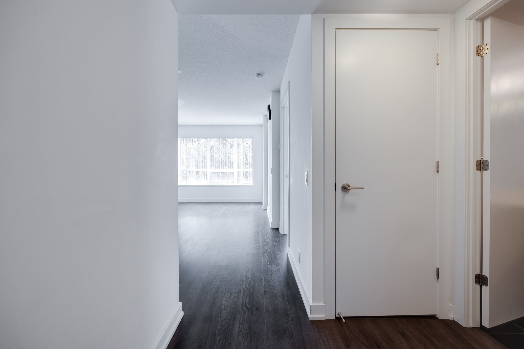 Toronto property showcase — delivered property photograph 14