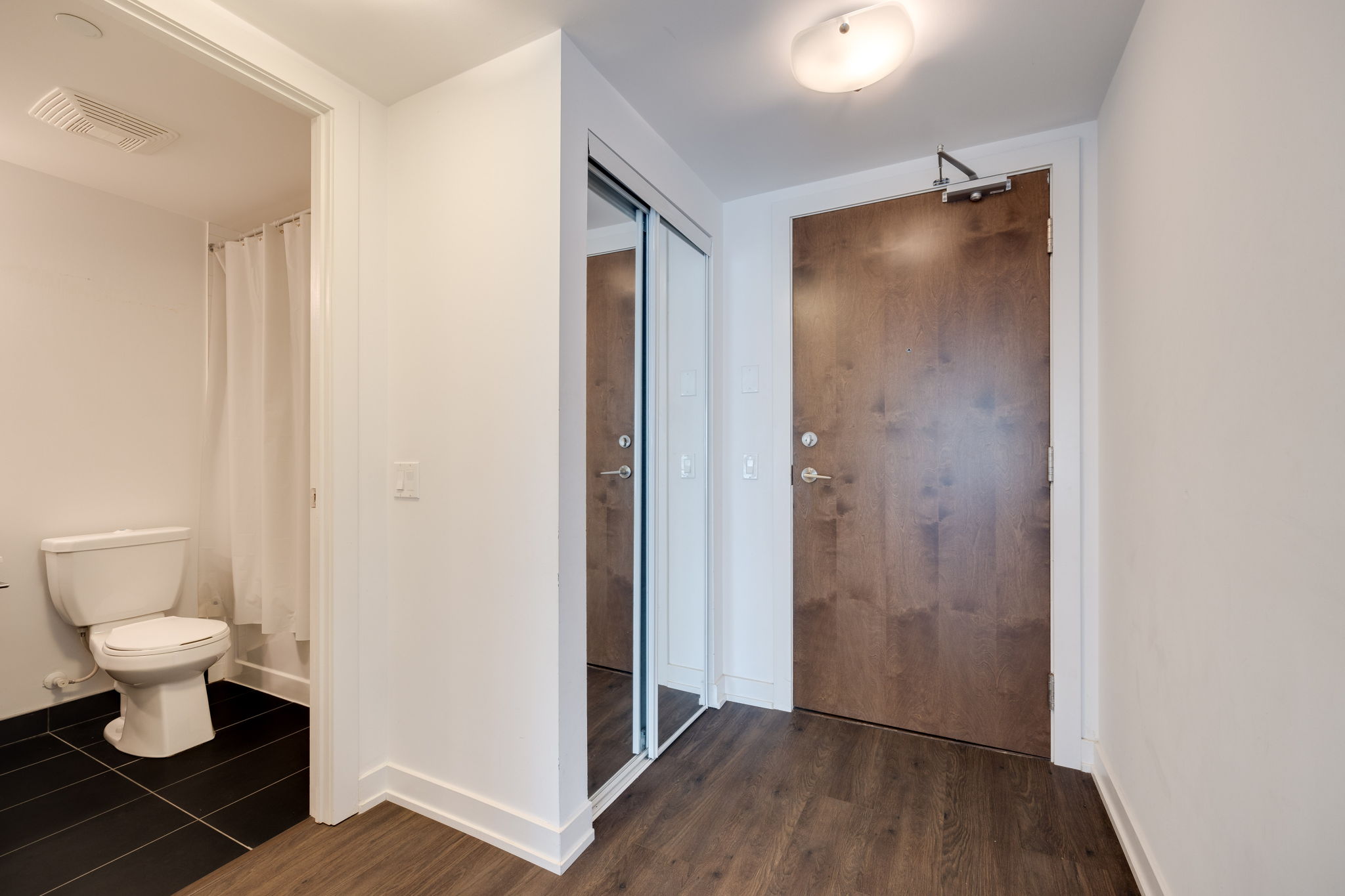 Toronto property showcase — delivered property photograph 12