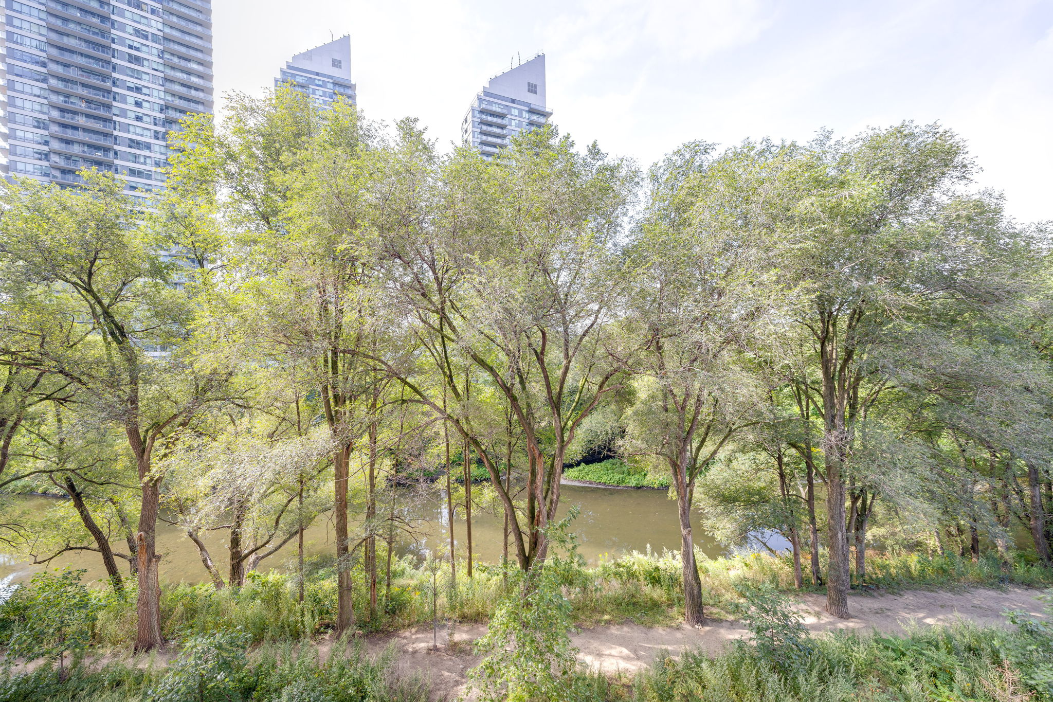 Toronto property showcase — delivered property photograph 18