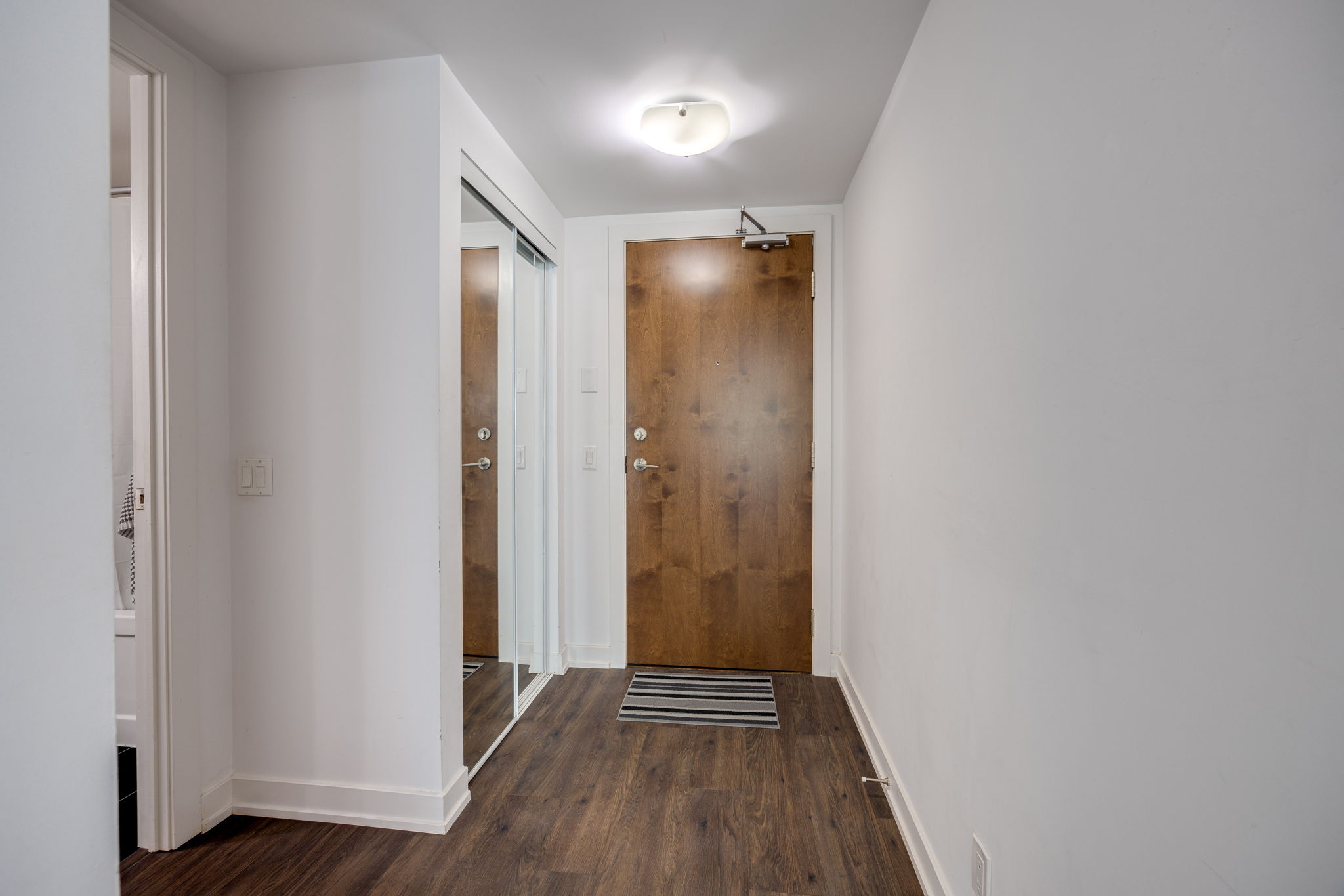 Toronto property showcase — delivered property photograph 29