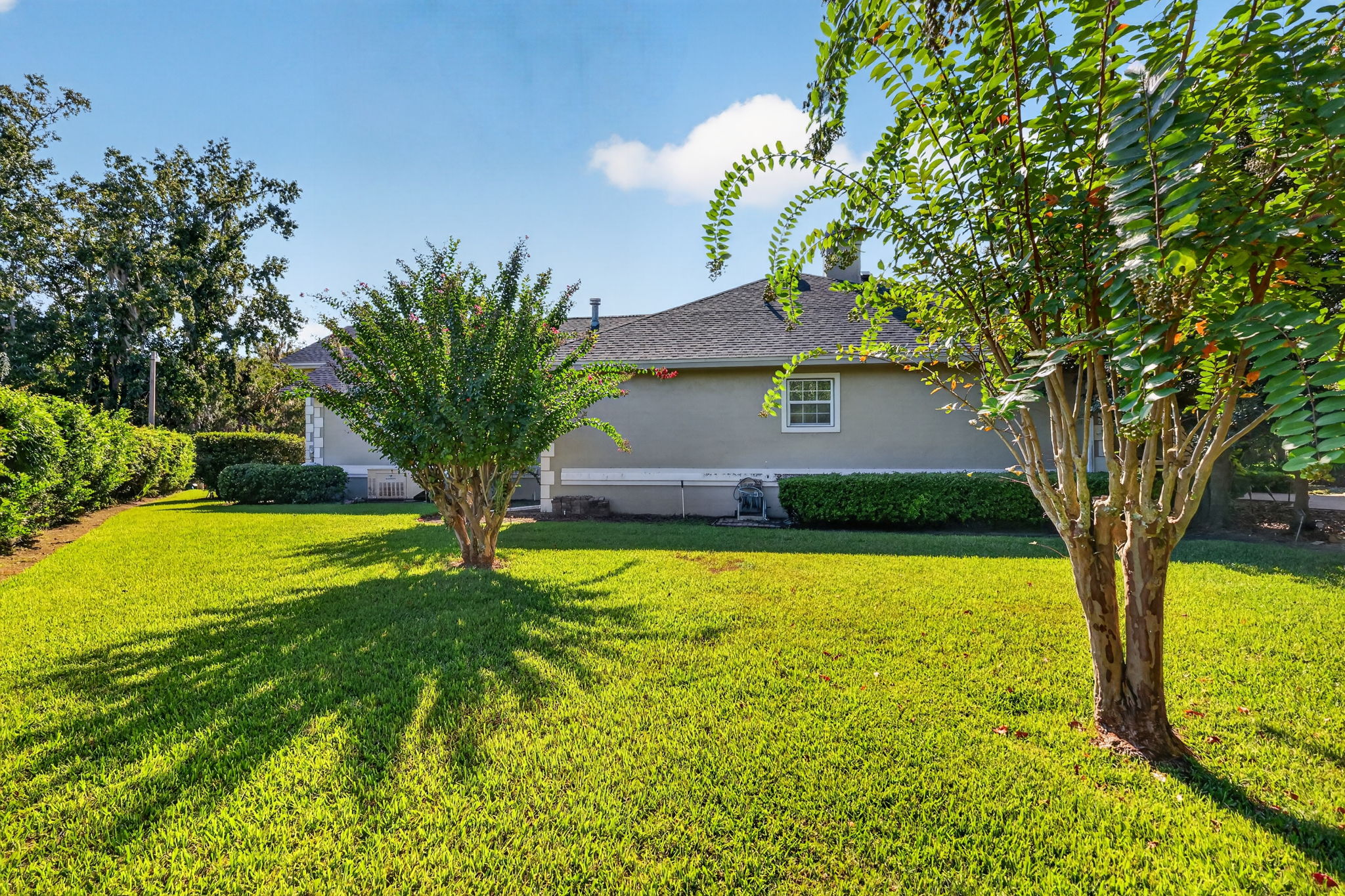 Side Elevation with ROOM FOR A POOL!                                                                                                                                                                                                              Spacious Yard with ROOM FOR A POOL!