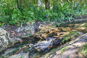 Water Feature on Property Border
