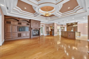 Living Room and Kitchen