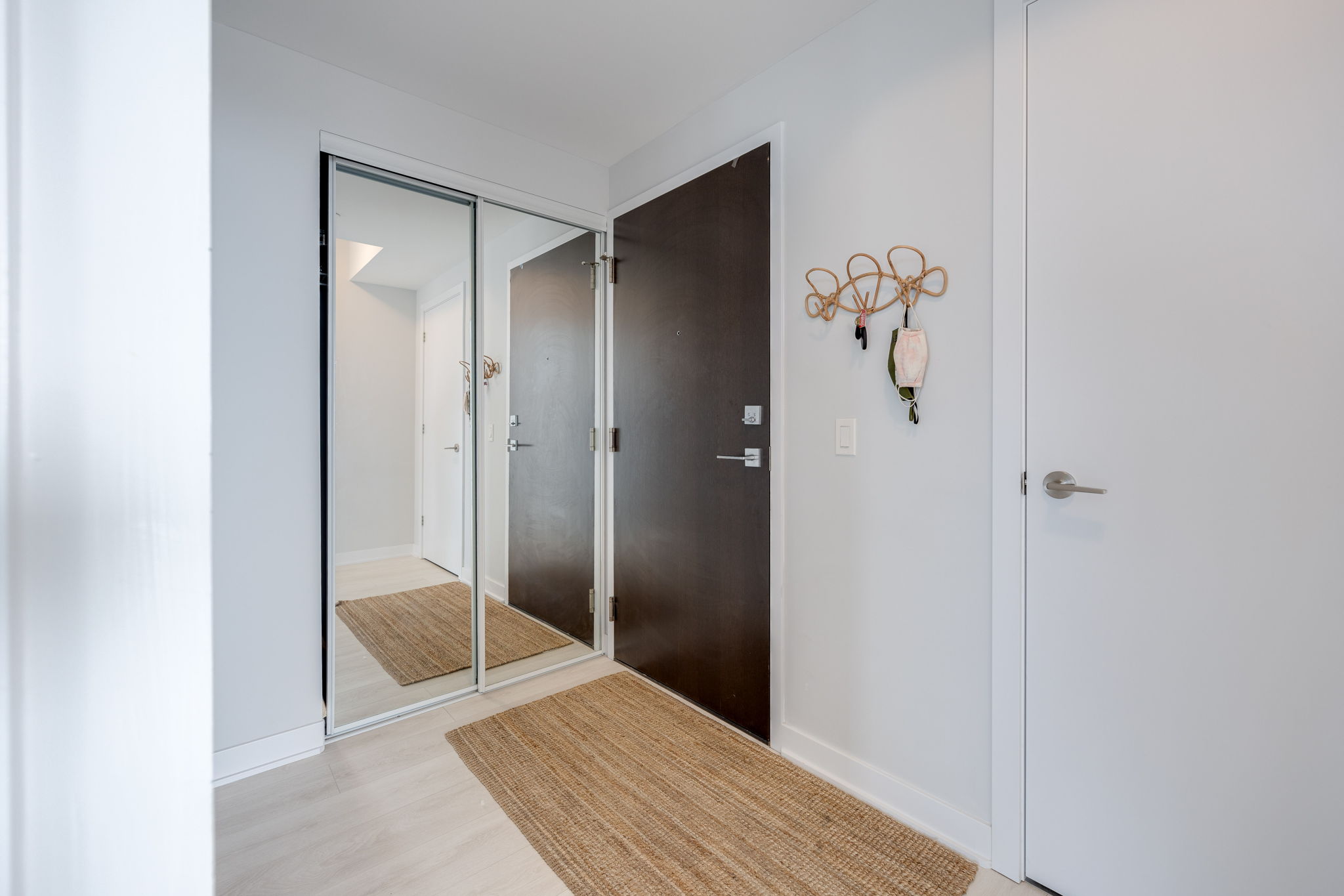 Toronto property showcase — delivered property photograph 19