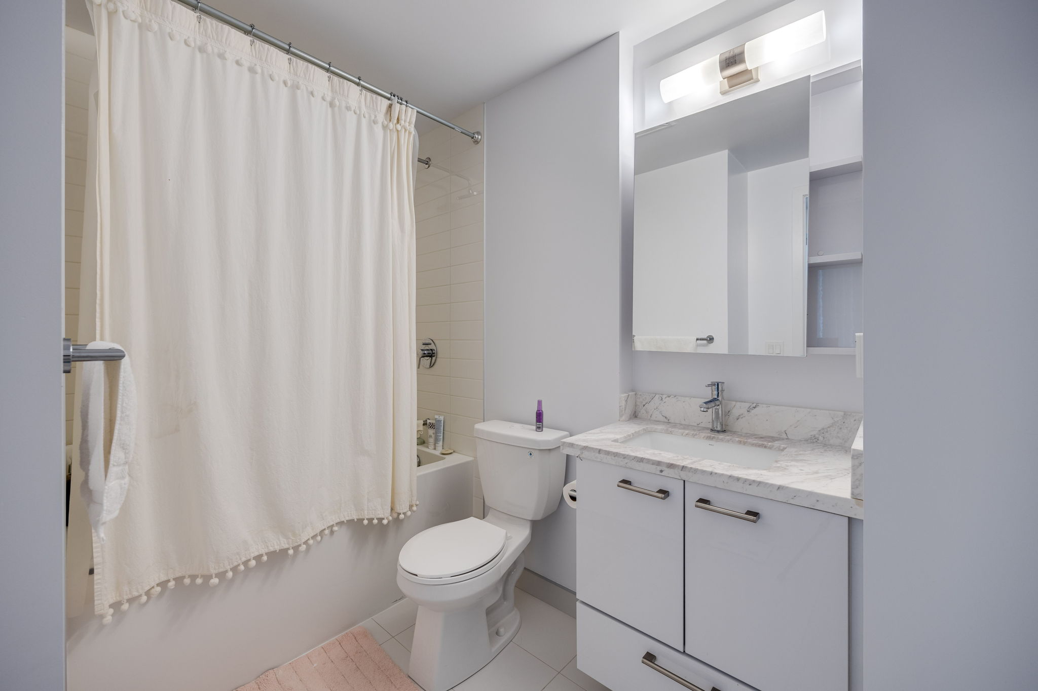 Toronto property showcase — delivered property photograph 14