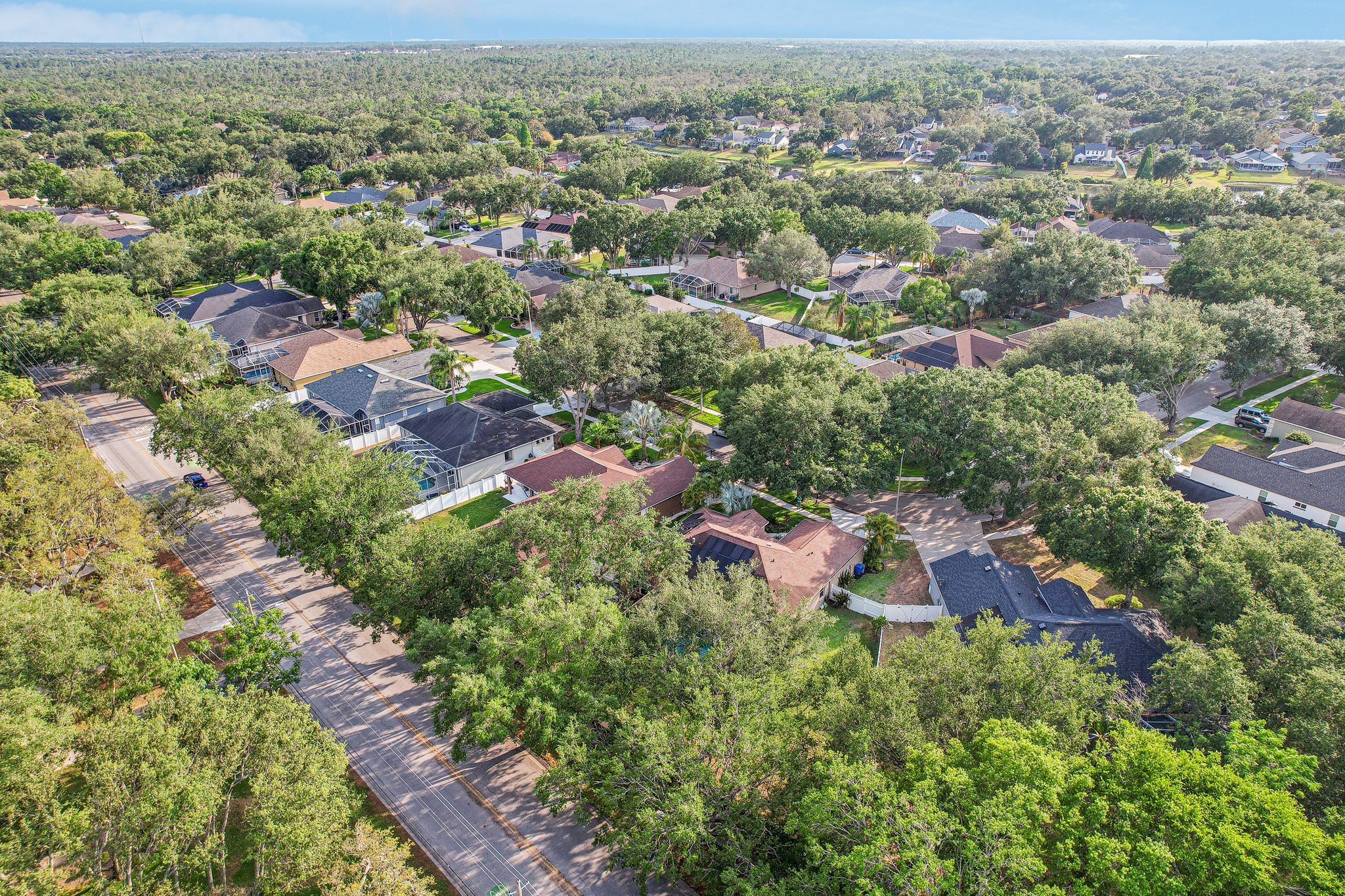 Longmore Cir-0905-061.jpg