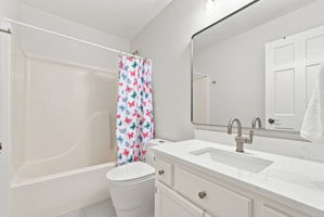  Photo 43