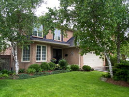  Photo 0