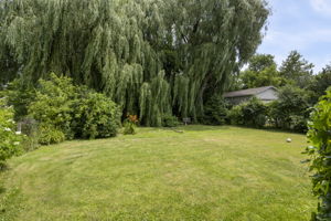  Photo 52