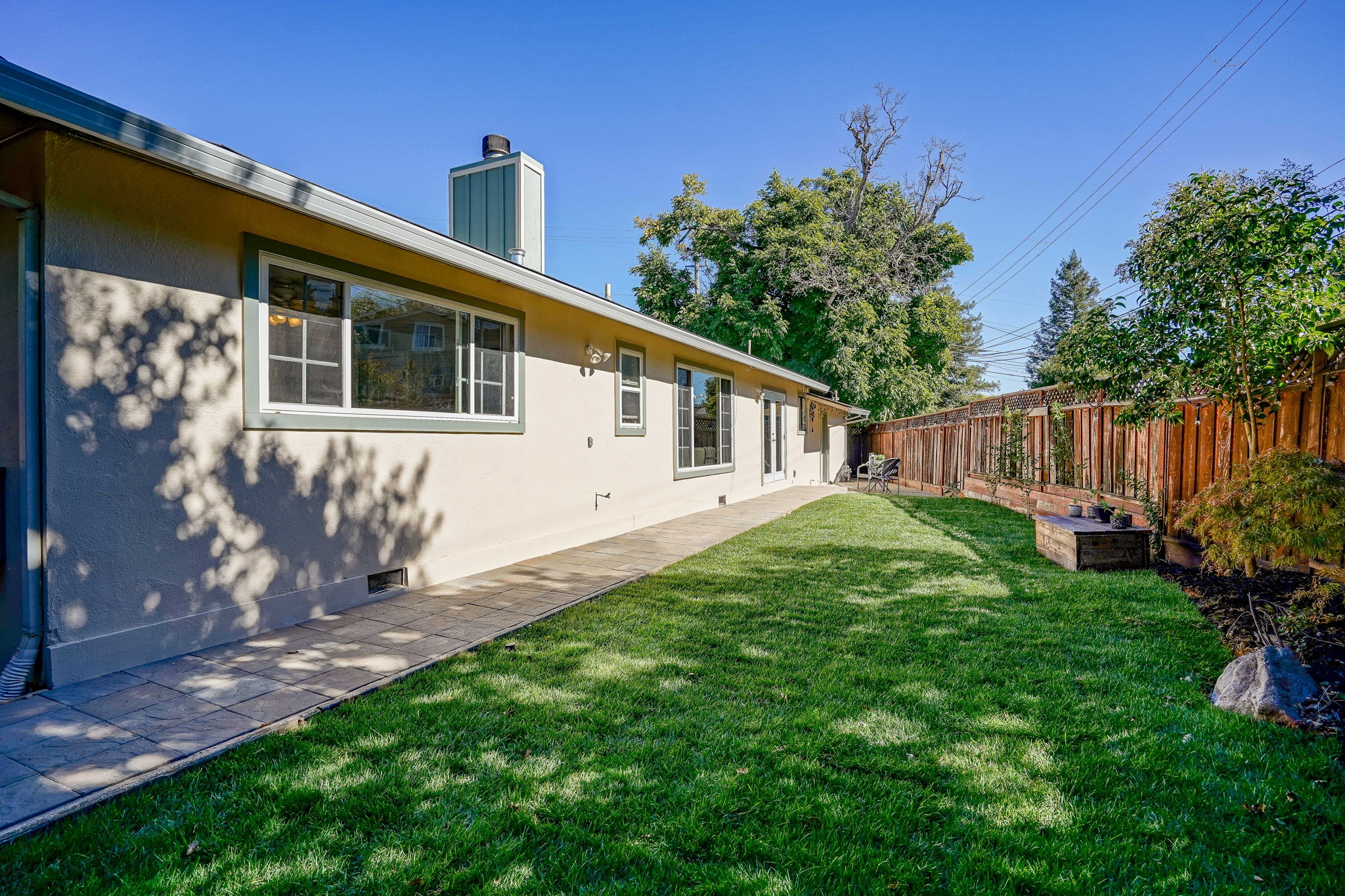 Sunny Backyard