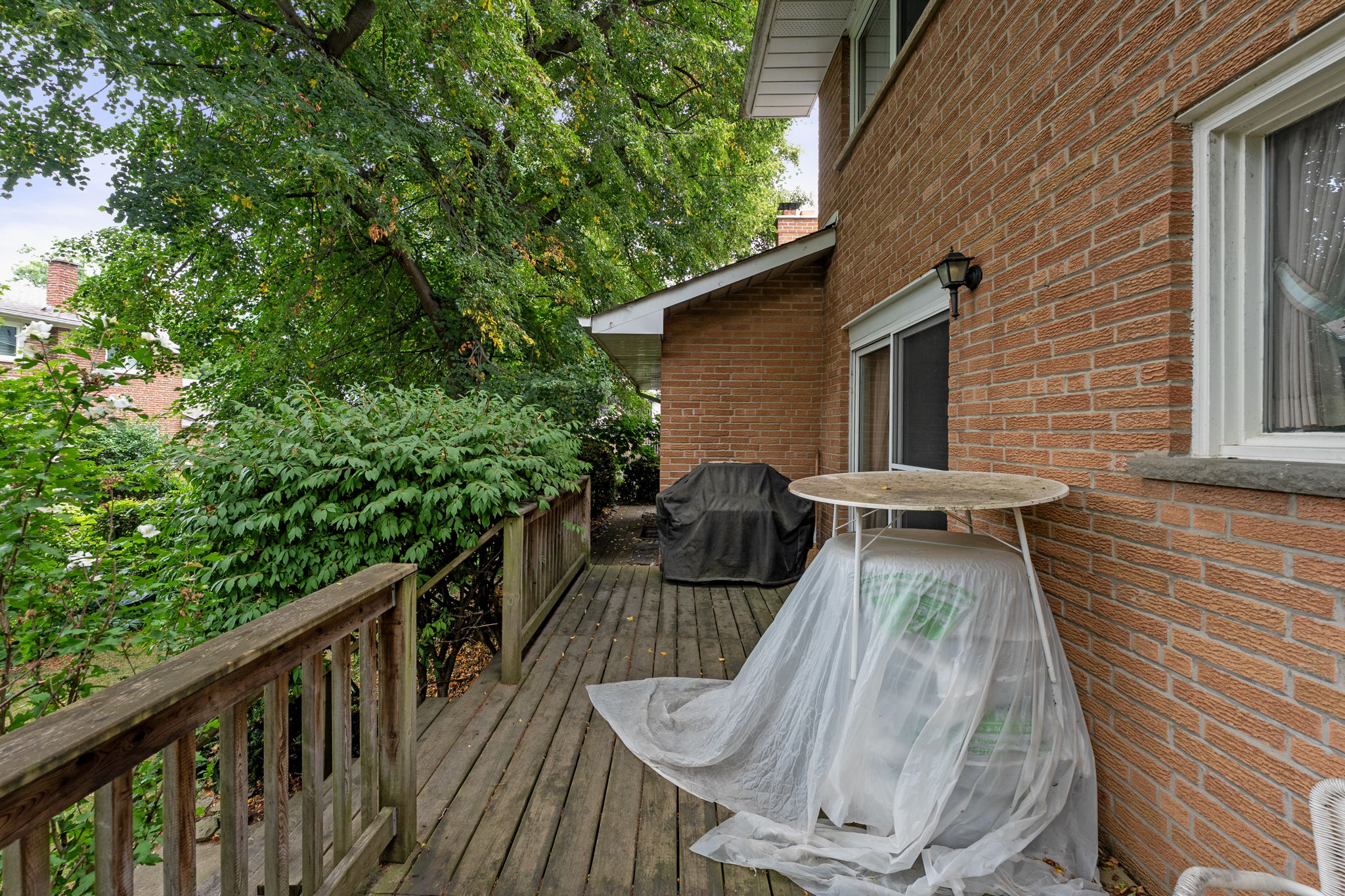  Photo 54