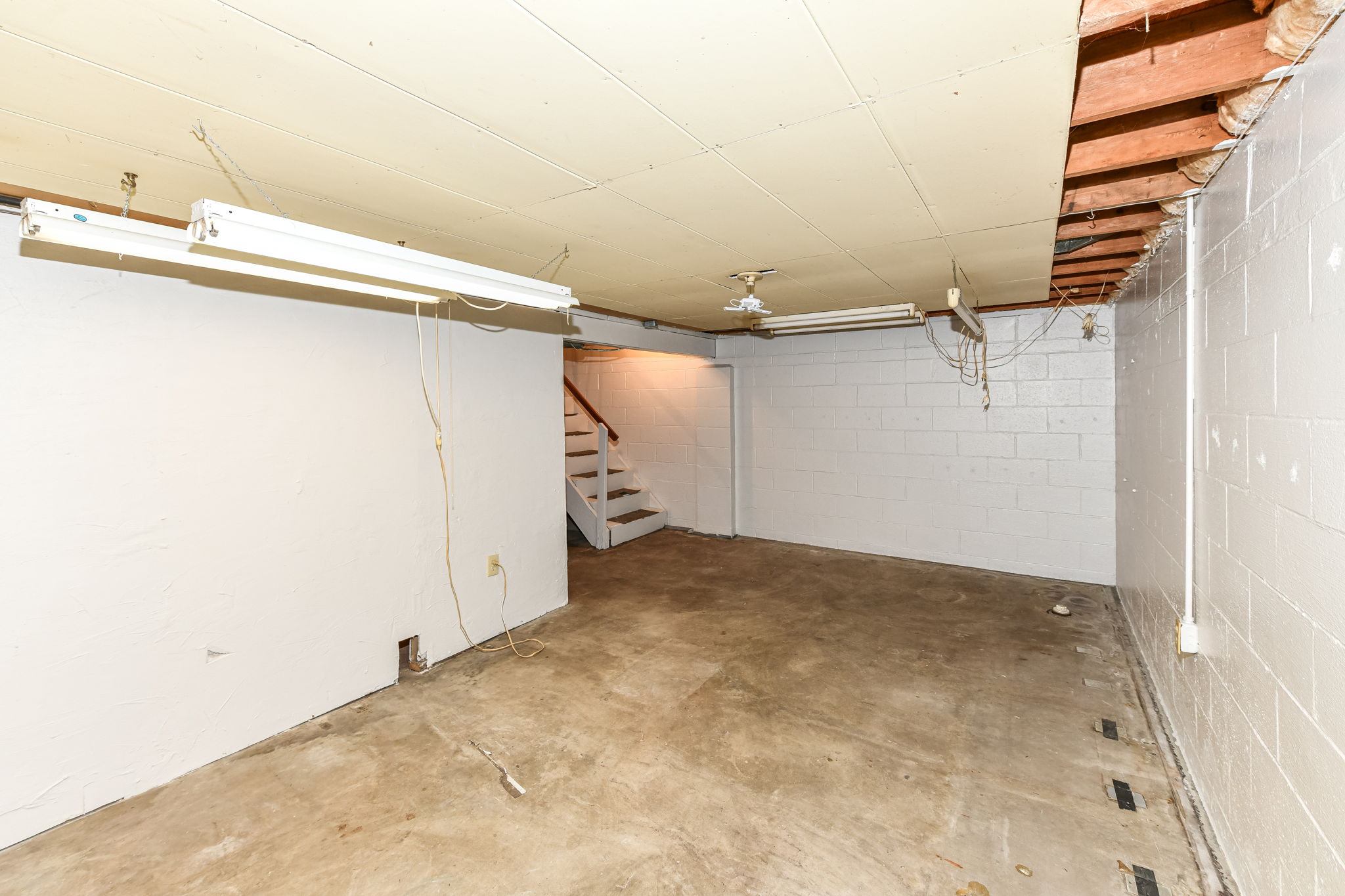 Basement
