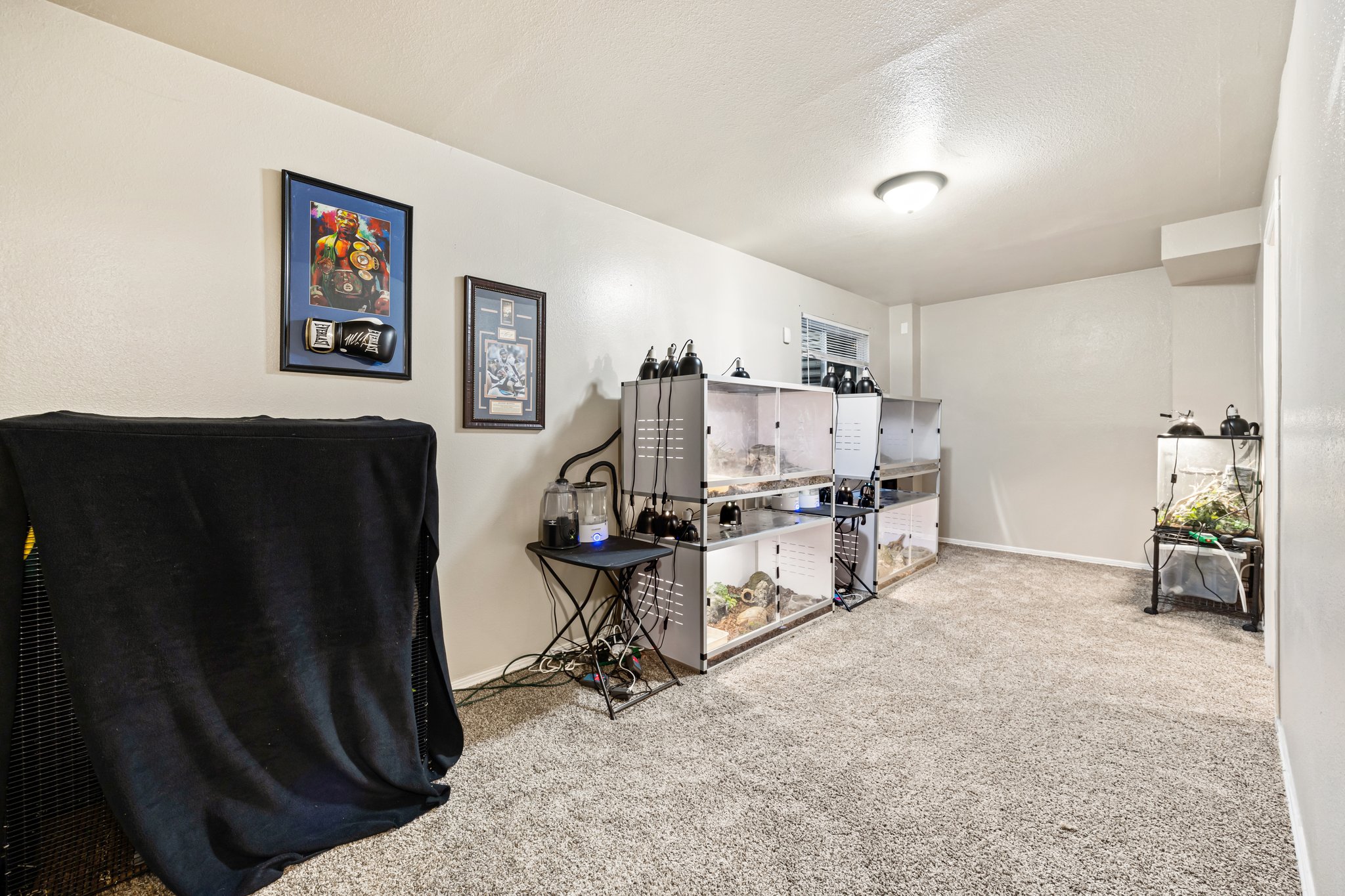 Basement