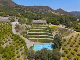  Photo 138
