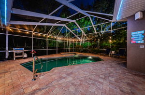 Patio and Pool19