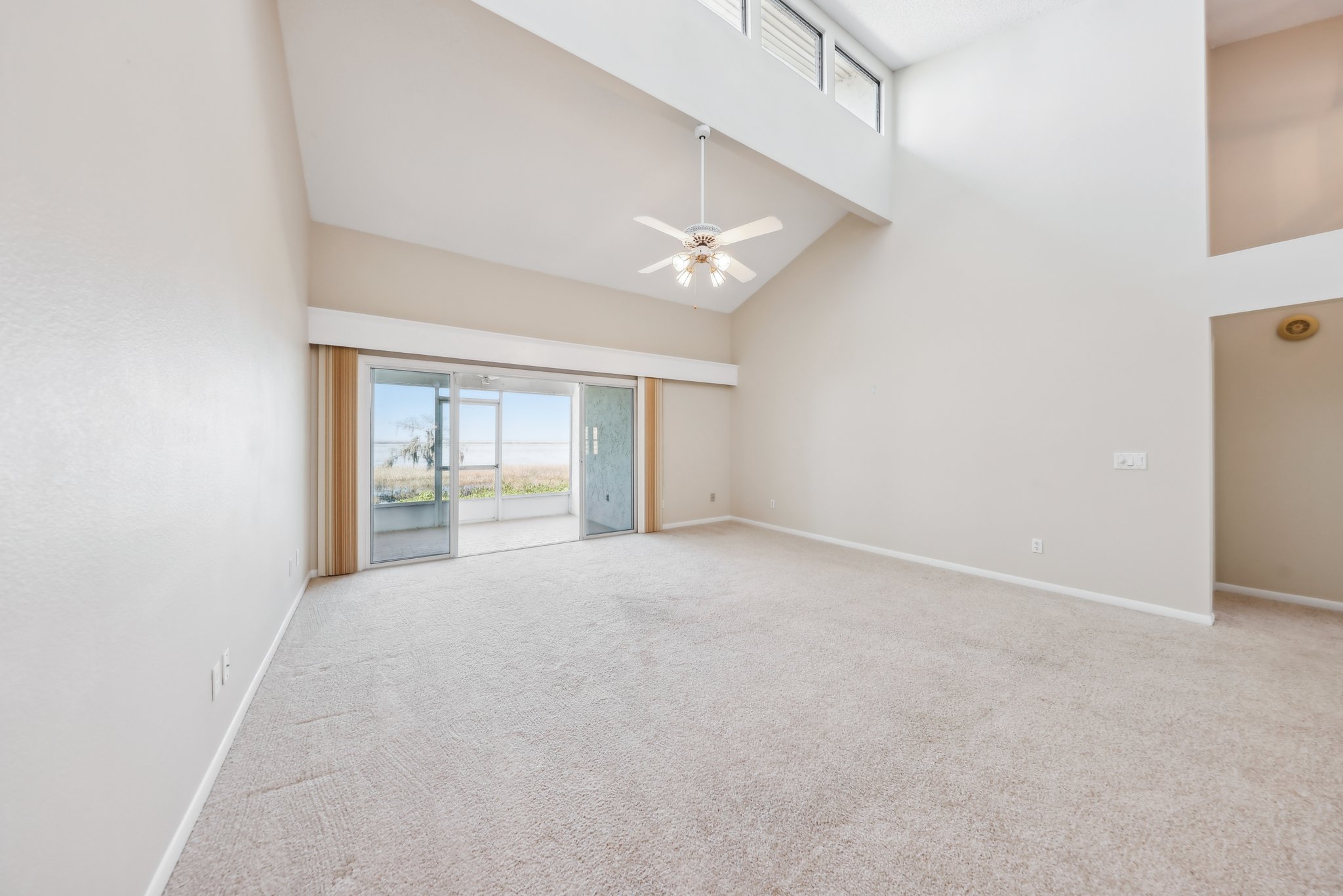 Cypress Ct-011.jpg