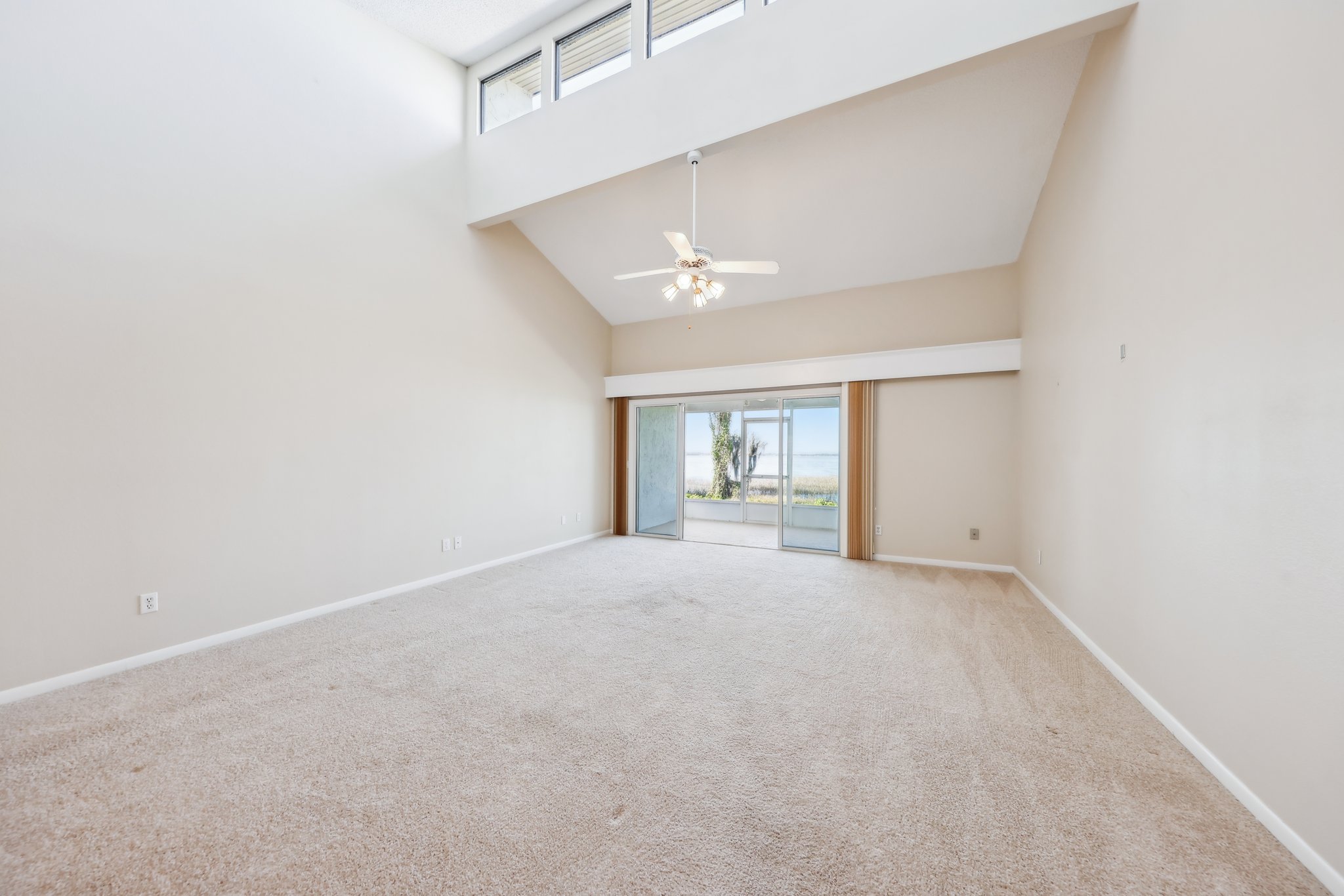Cypress Ct-012.jpg
