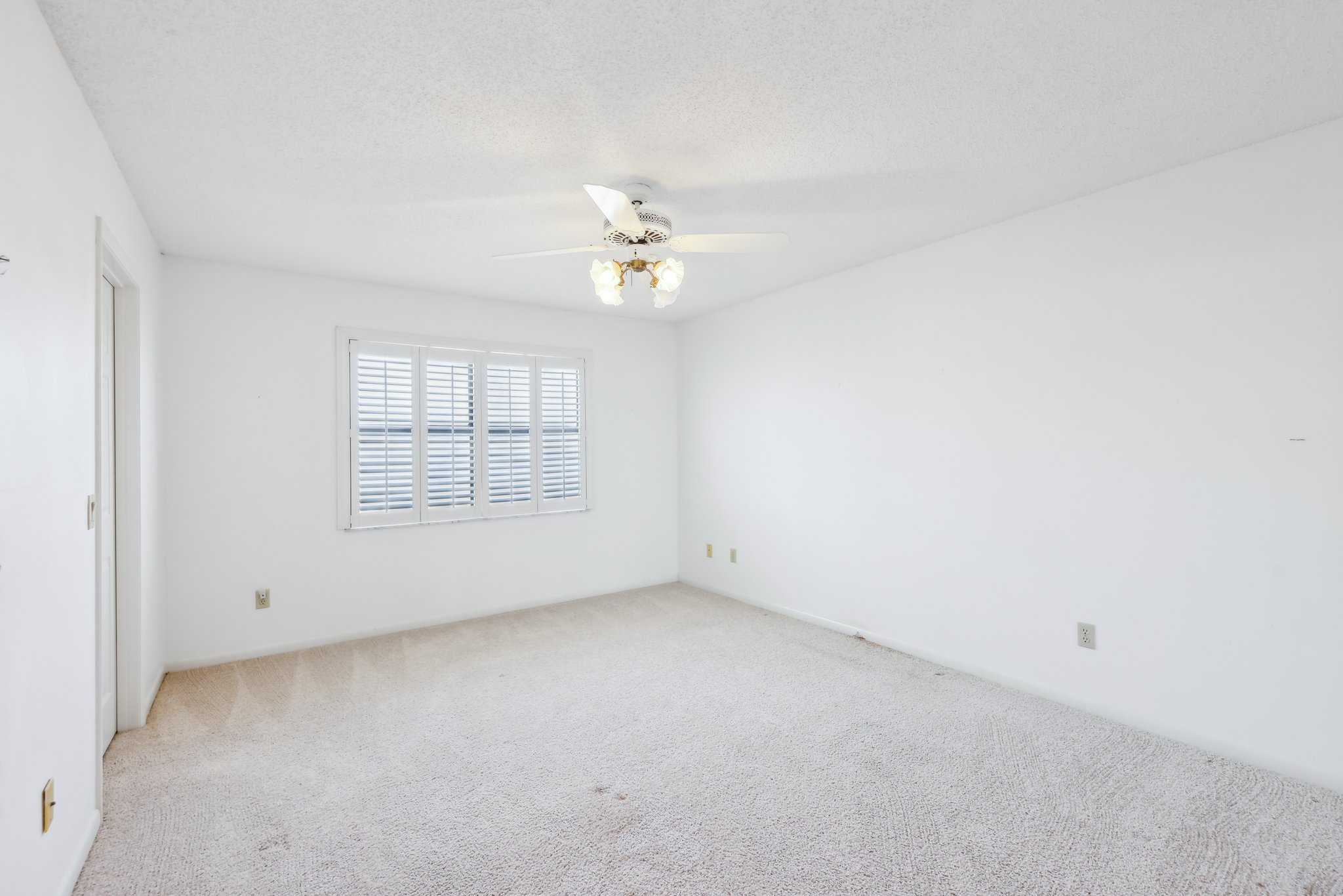 Cypress Ct-027.jpg