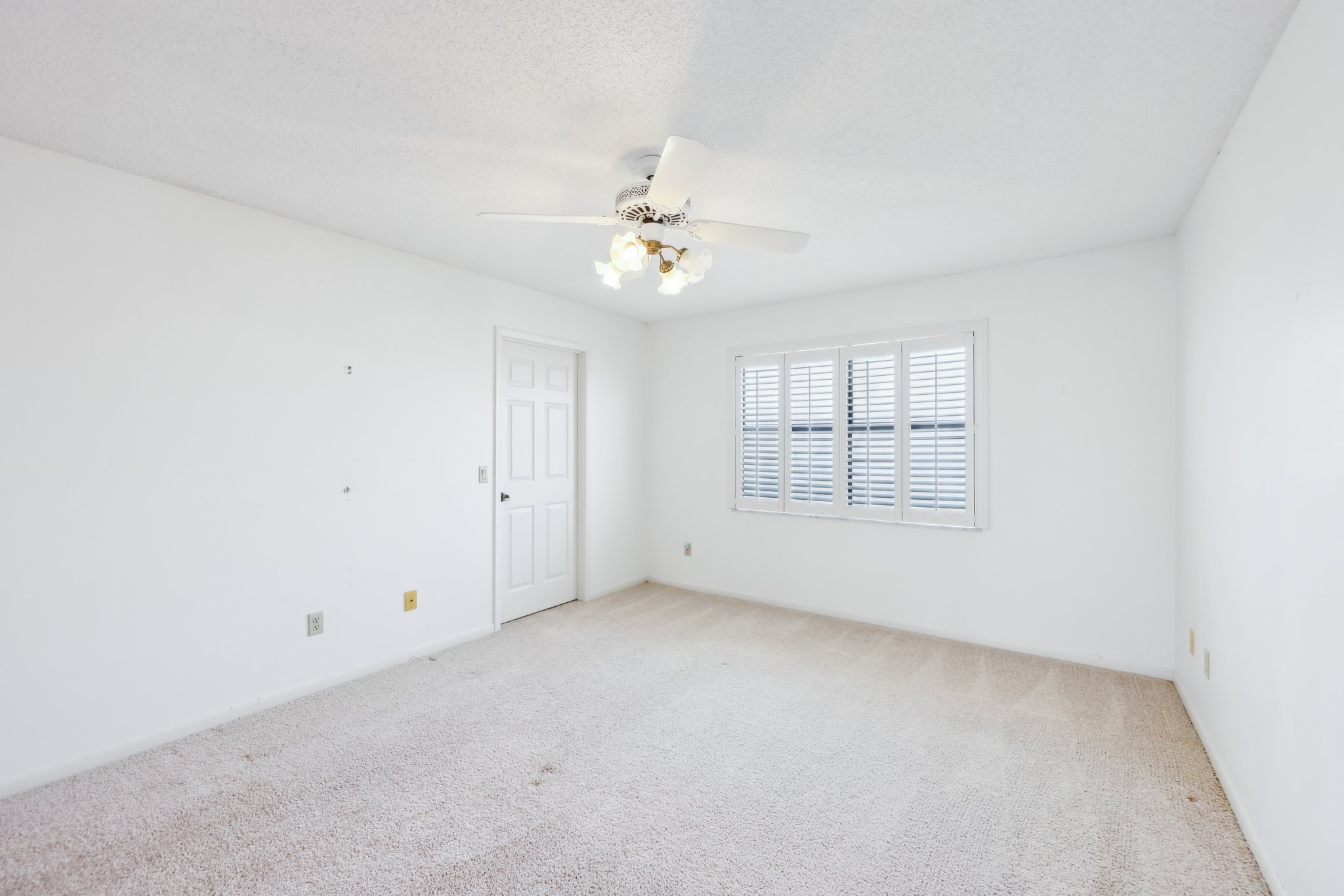 Cypress Ct-028.jpg