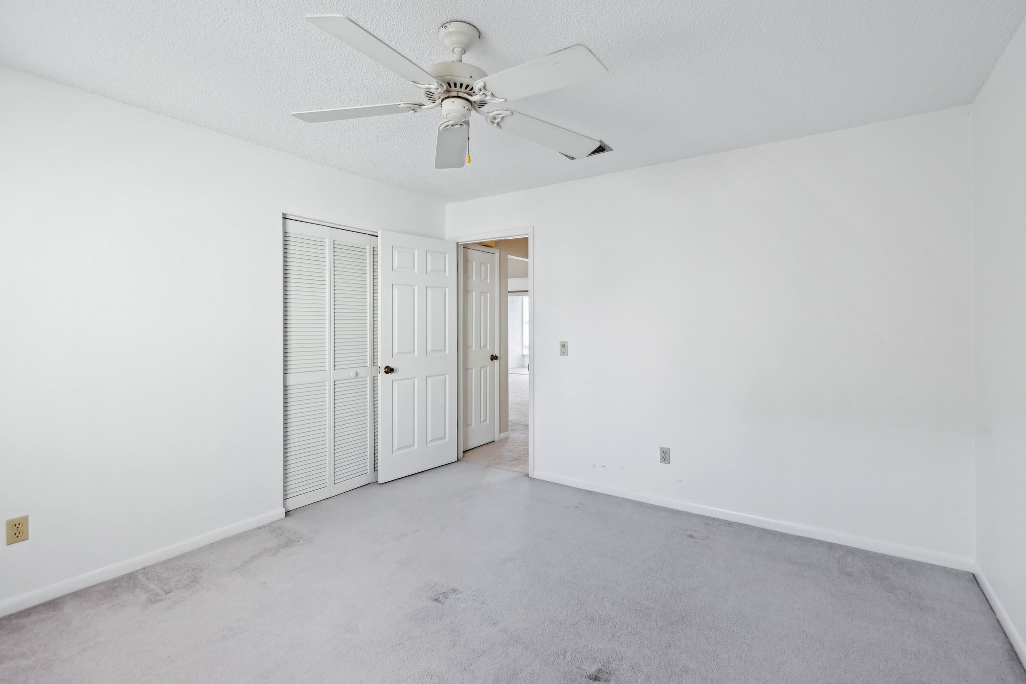 Cypress Ct-031.jpg