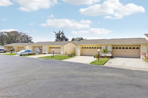 Cypress Ct-001.jpg