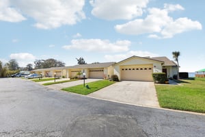 Cypress Ct-002.jpg