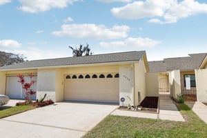 Cypress Ct-003.jpg