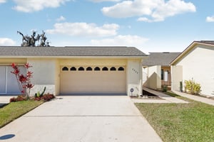 Cypress Ct-005.jpg