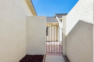 Cypress Ct-008.jpg