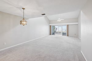 Cypress Ct-009.jpg