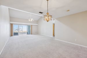 Cypress Ct-010.jpg