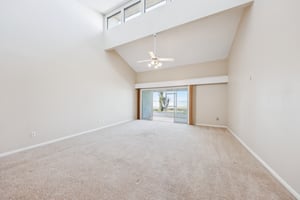 Cypress Ct-012.jpg