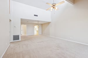 Cypress Ct-013.jpg