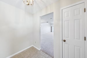 Cypress Ct-020.jpg