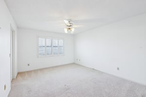 Cypress Ct-027.jpg