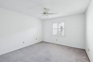 Cypress Ct-030.jpg