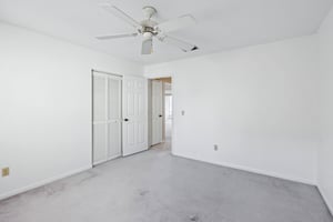 Cypress Ct-031.jpg