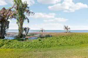 Cypress Ct-038.jpg