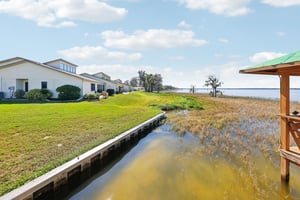 Cypress Ct-041.jpg