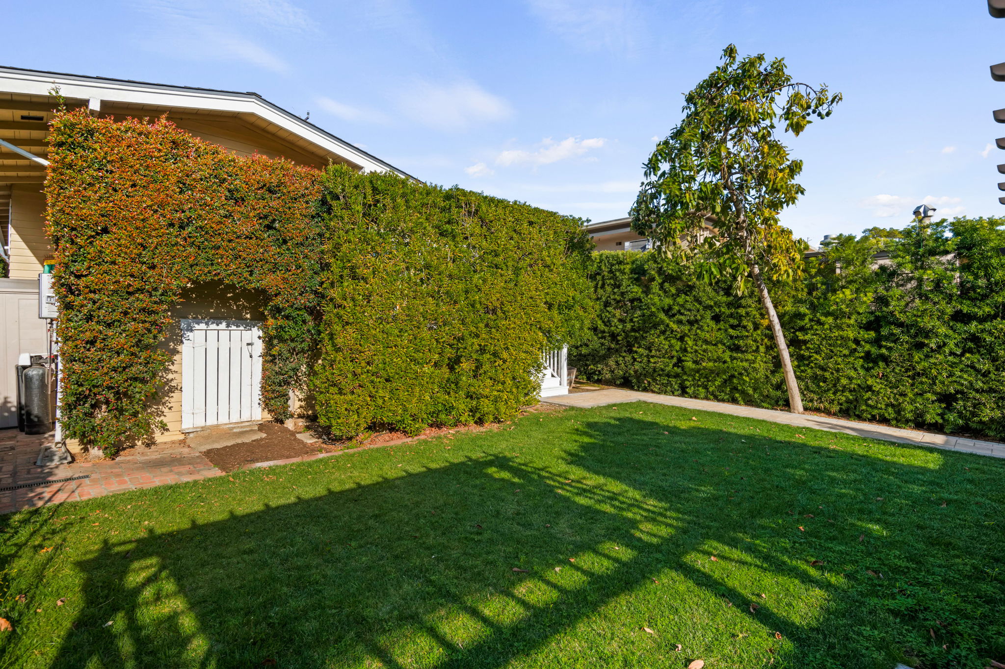 19 - Back Yard