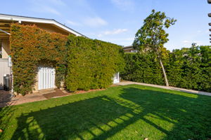19 - Back Yard