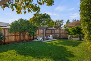 20 - Back Yard