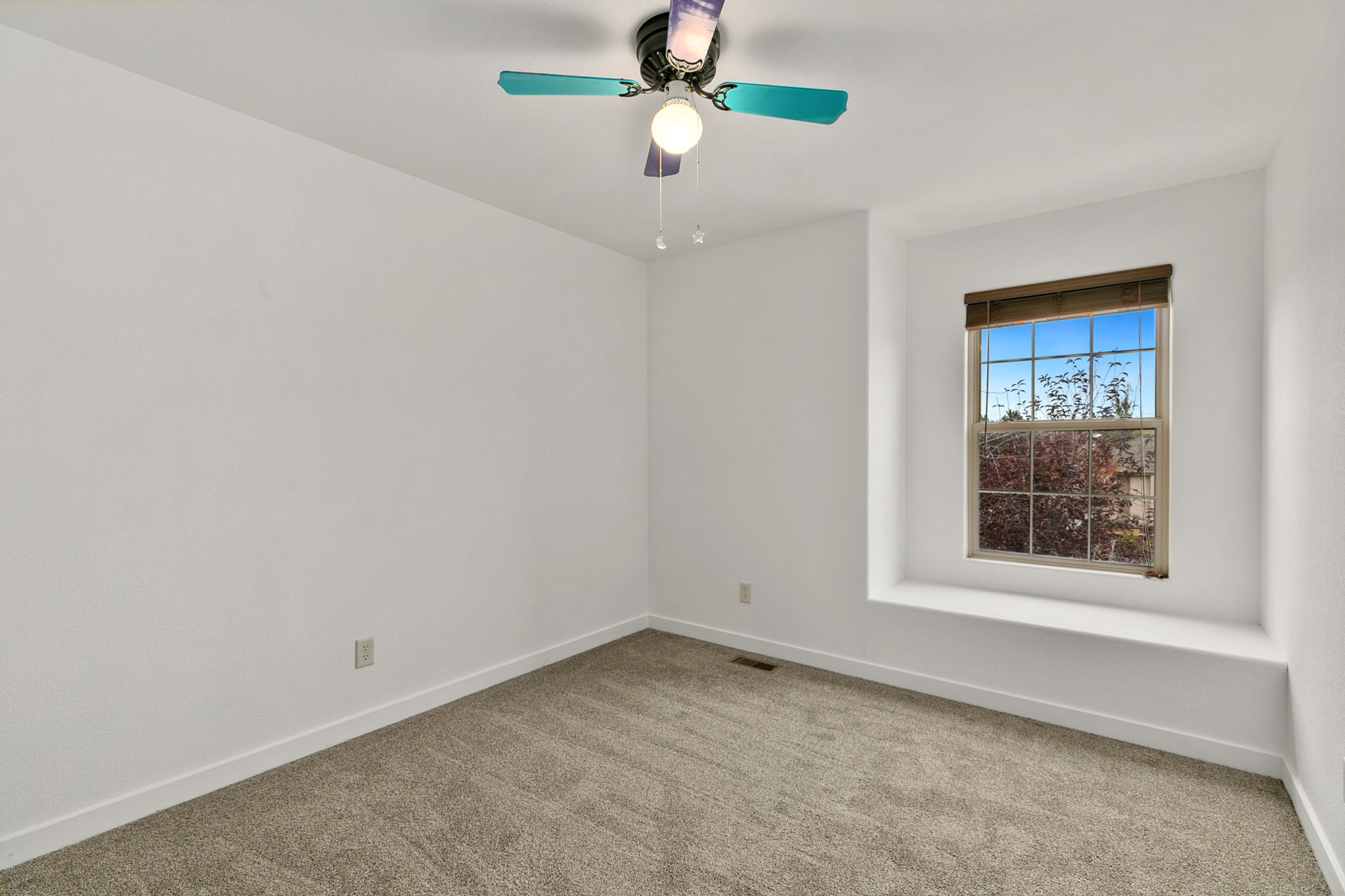 223 Basswood Ave, Johnstown, CO 80534, USA Photo 19