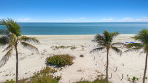 Aerial View 4