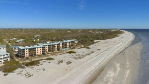 Aerial View (4)