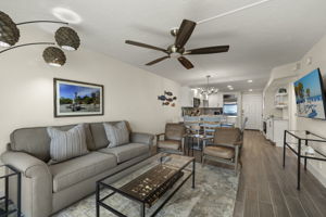 Living Room 6